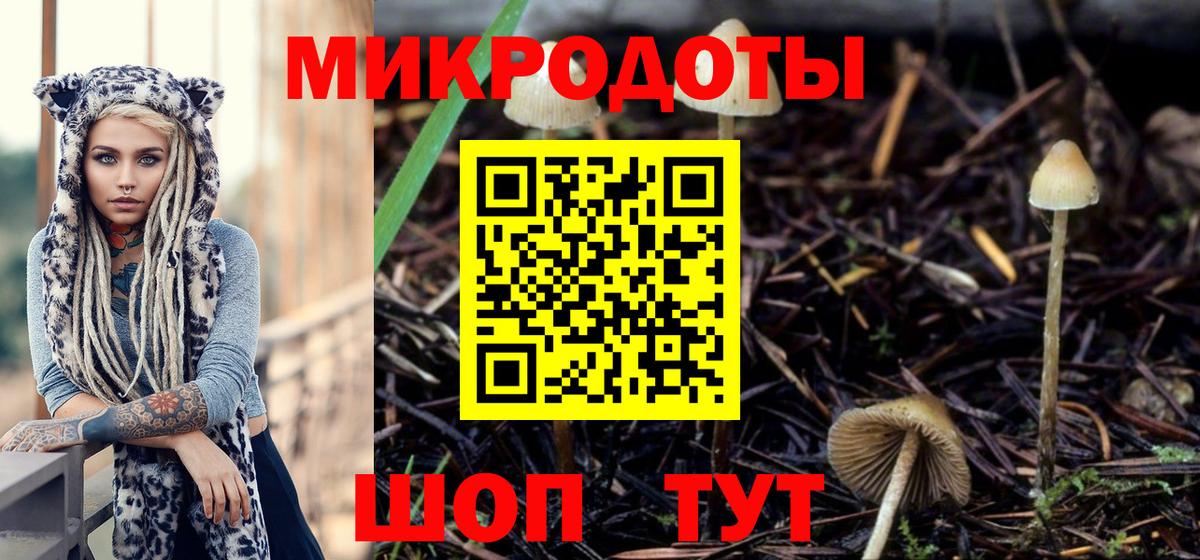 Псилоцибиновые грибы прущие грибы Воскресенск